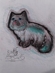 kittttttty